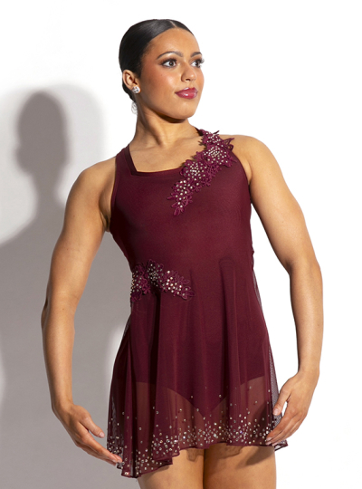 Aubrey Mesh Dress With Appliques