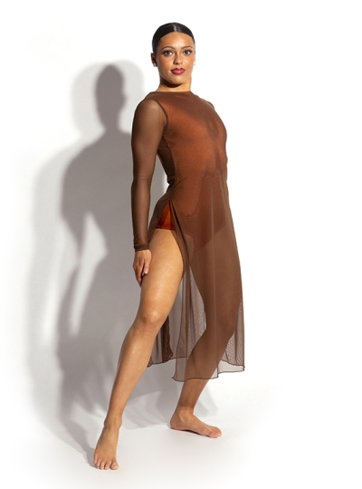 Celeste Mesh Dress