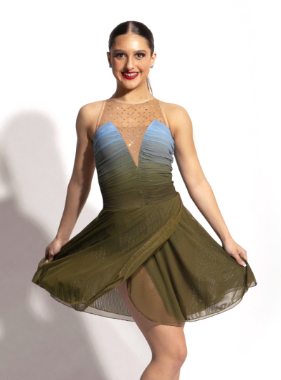 Cailia Skate Dress
