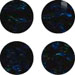 Holographic Black