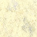 Lace - Ivory
