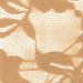 Lace - Nude