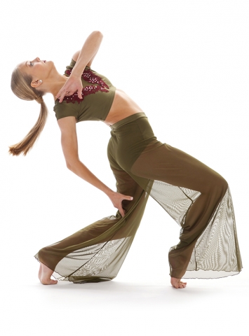 Gaucho Mesh Pants