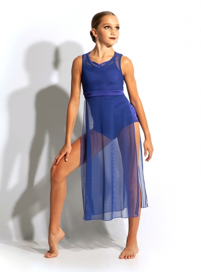 Reynolda Mesh Overlay